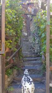 Escaleras de una casa típica rural de Patones de Arriba, pueblo de la Sierra Norte de Madrid