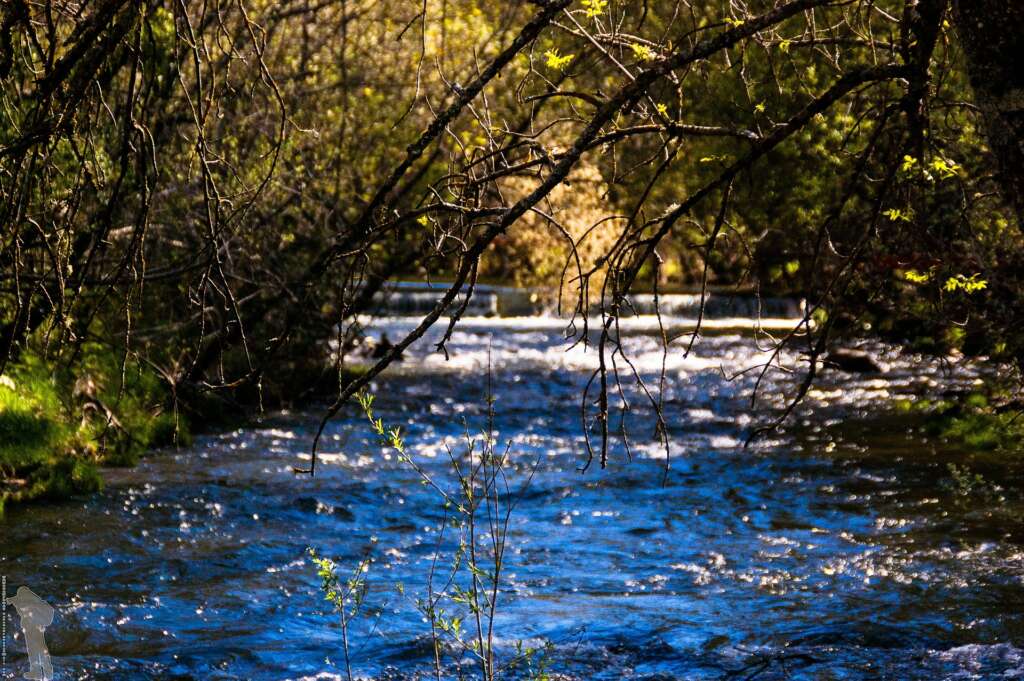 Río Lozoya, uno de los mejores parajes rurales de Madrid 