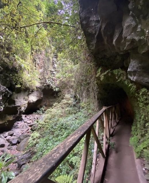 rutas de senderismo en la palma