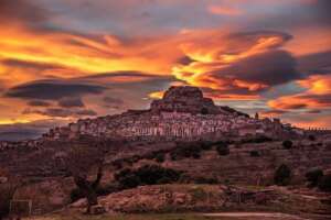 morella