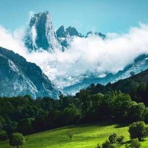 naranjo de bulnes