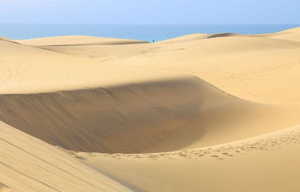 mas palomas en gran canaria