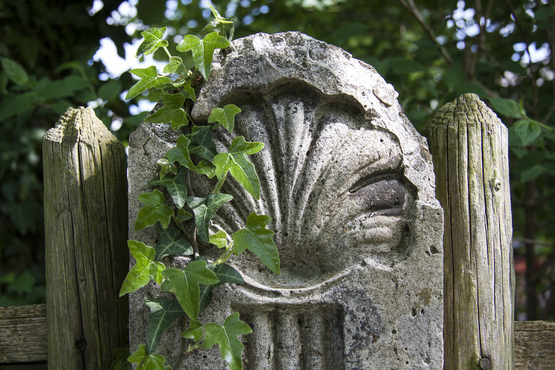 CAMINO DE SANTIAGO FRANCÉS