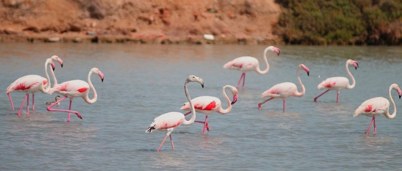 las mejores playas de murcia