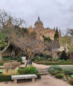 huerto de calixto y melibea