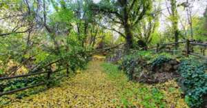 Naturaleza con ninos Cabrenta