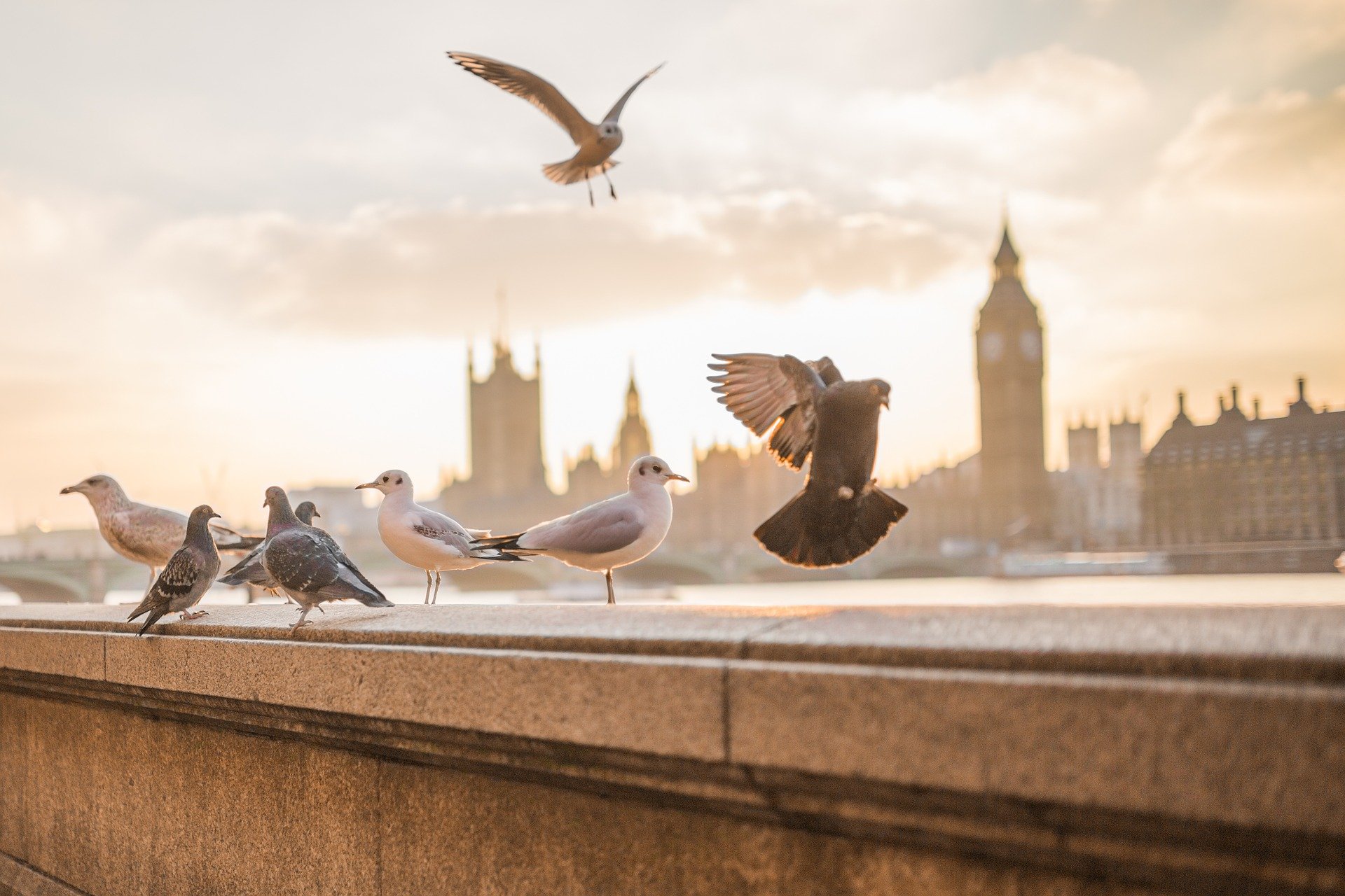 QUE VER EN LONDRES EN DOS DÍAS