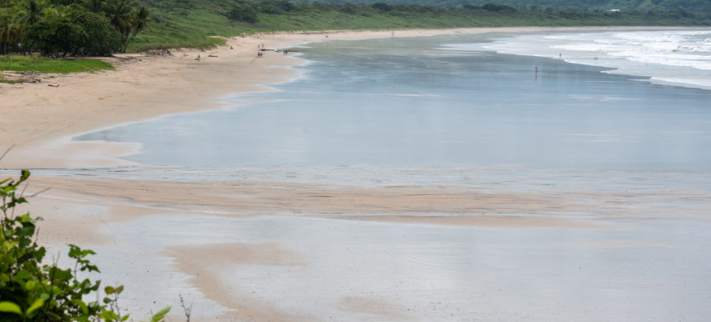 playa Grande, una playa que forma parte del Parque de Las Baulas