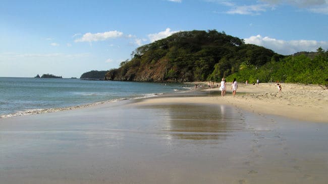 playa potrero, idóneas para descubrir animales como tiburones ballena, mantarrayas o la ballena jorobada