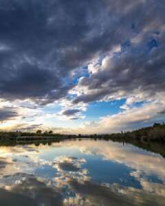 naturaleza plena