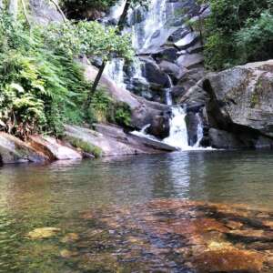 paseo entre cerezos y cascadas