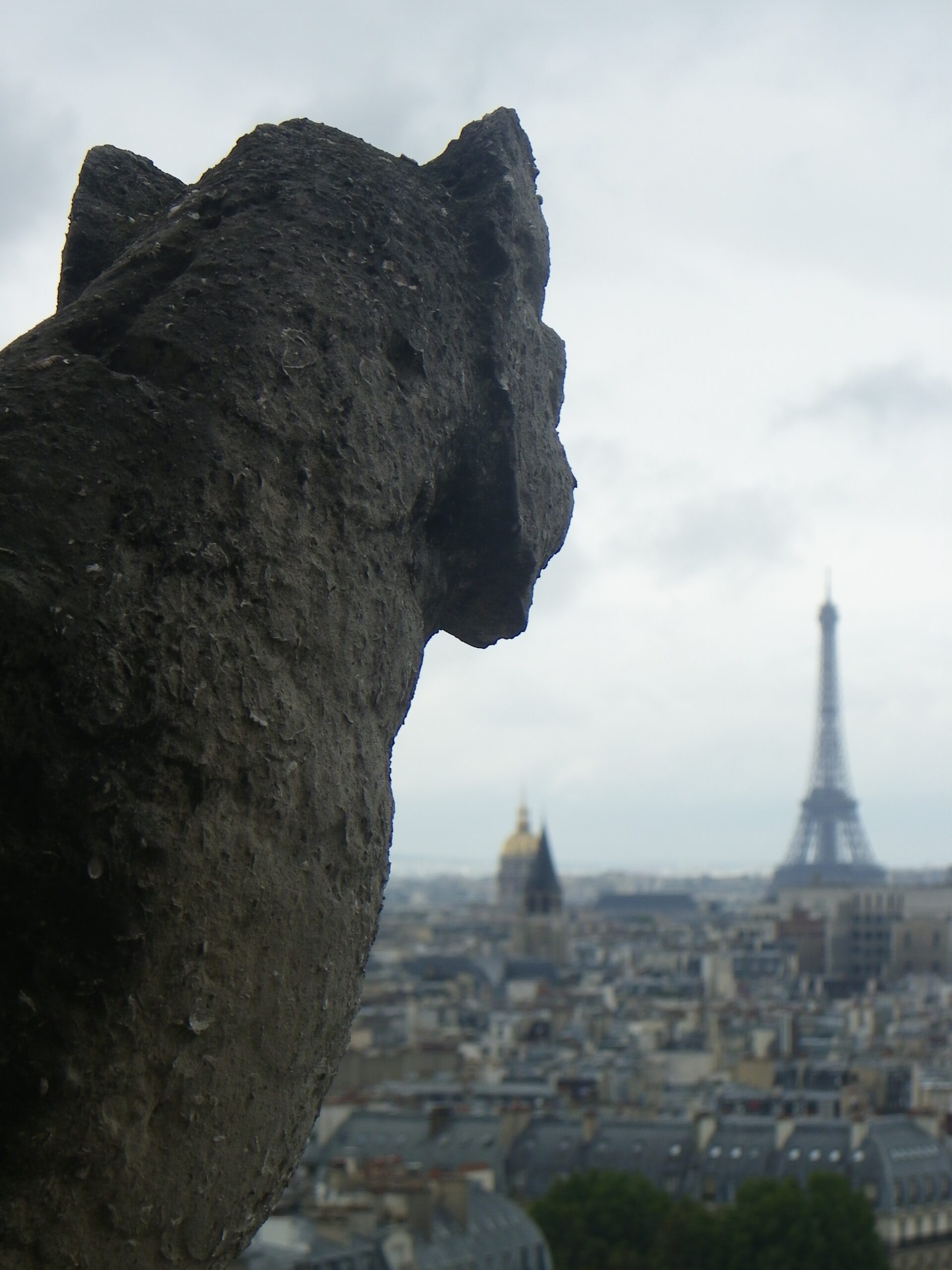 QUÉ VER EN PARÍS