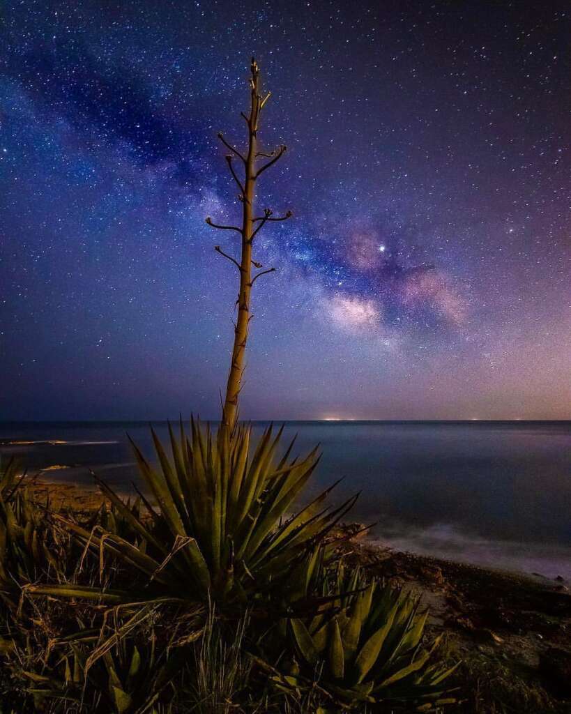 Naturaleza plena en Castellón