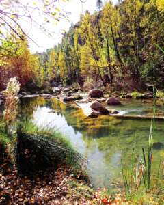 rio mijares en plena naturaleza