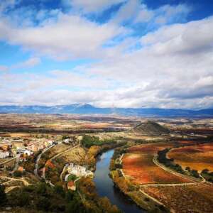 vinedos termino Logrono cultura y vino