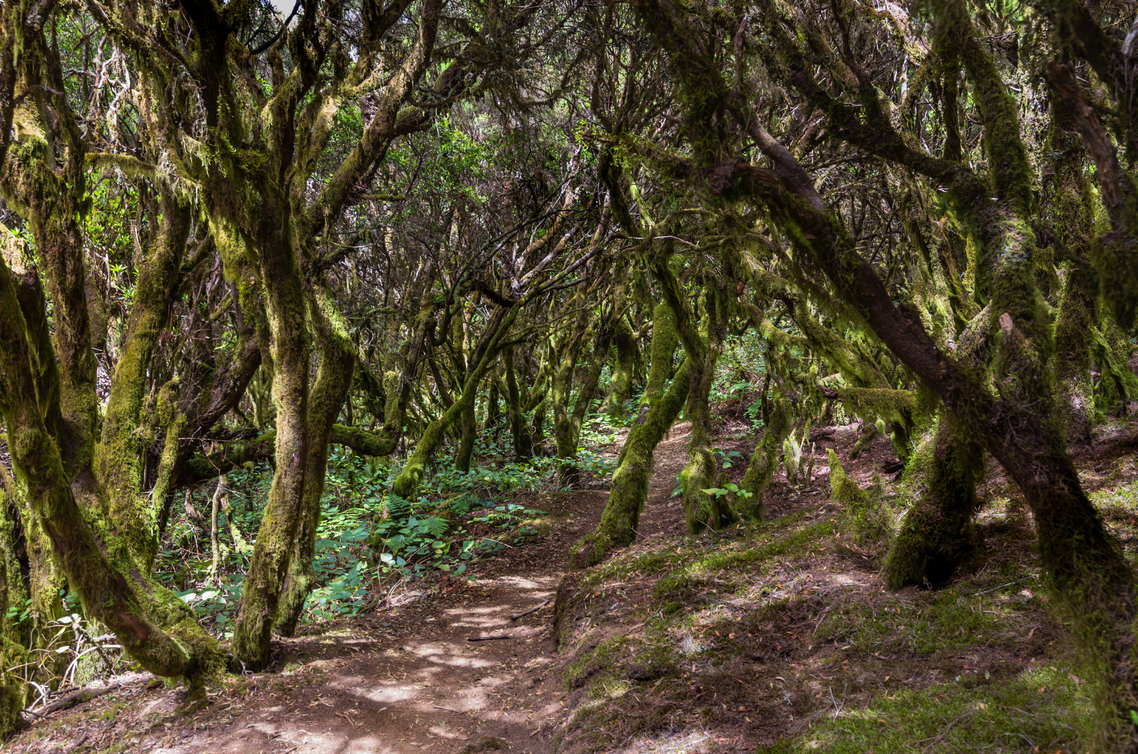 rutas senderismo en el hierro