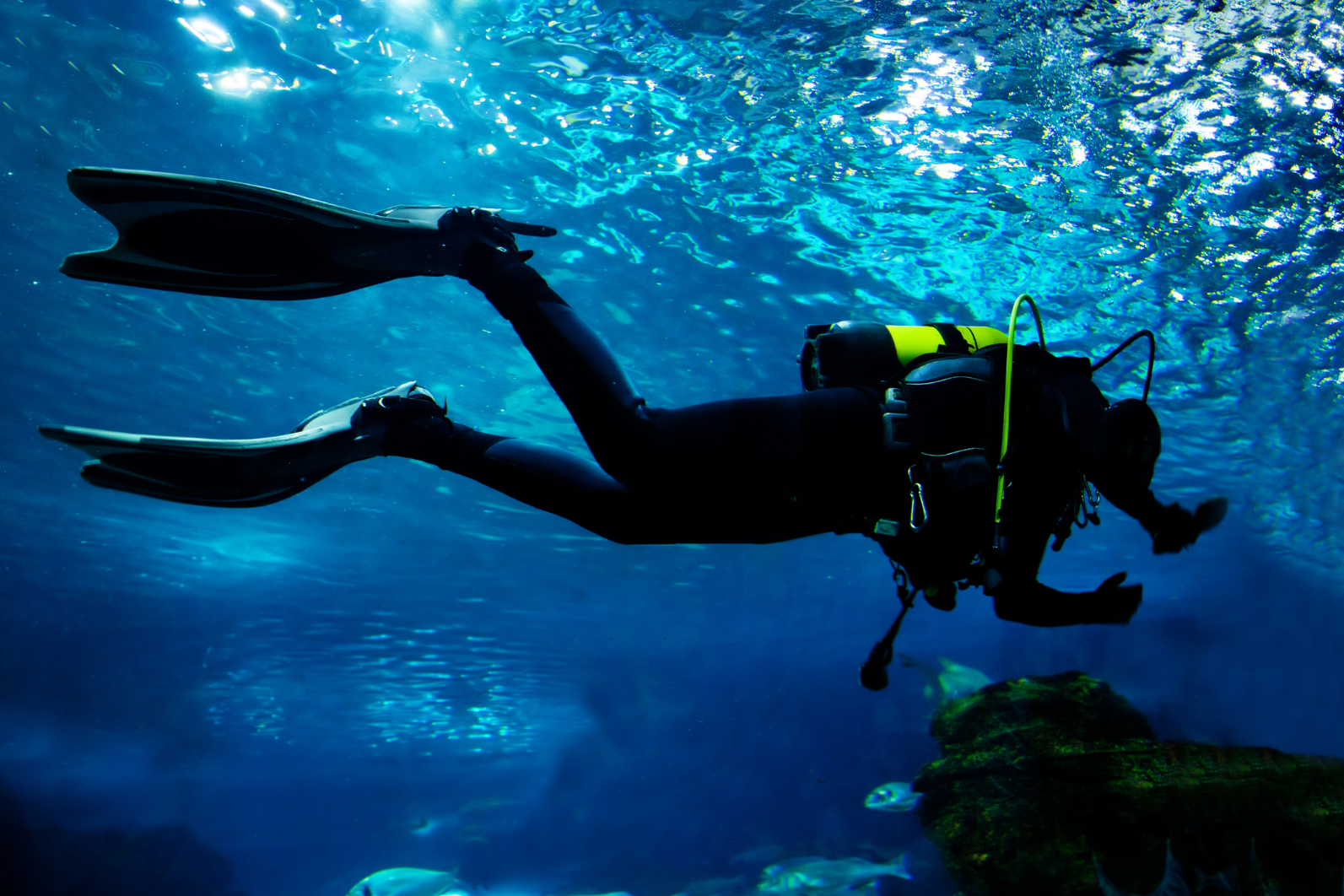 buceo en el hierro