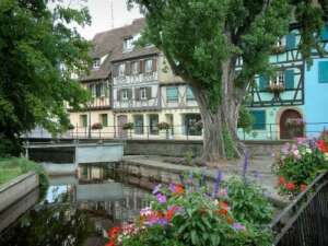 Colmar