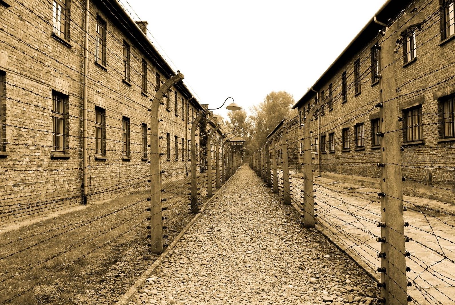 auschwitz birkenau