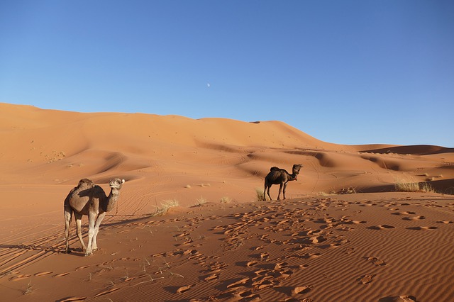 Marruecos en 15 dias 3