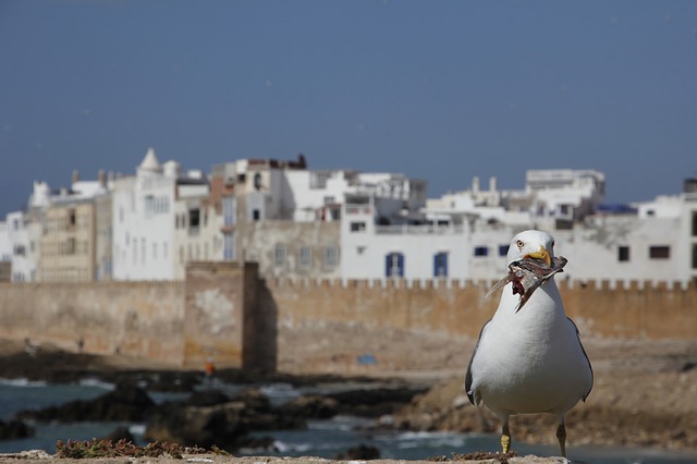 mejores sitios para visitar en Marruecos 2