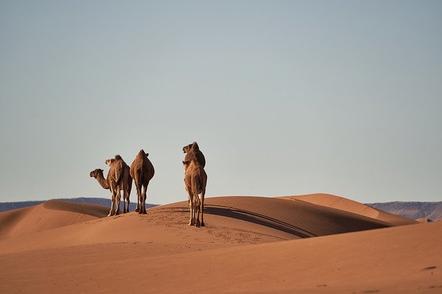 tips viajar a Marruecos 