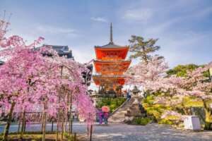 PAGODA KUYASU EN TU VIAJE A KYOTO