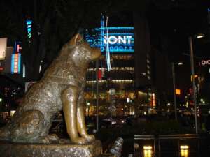 HACHIKO BARRIOS DE TOKIO