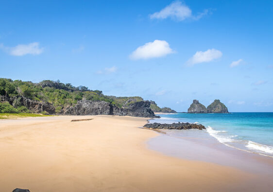 Fernando de Noronha1